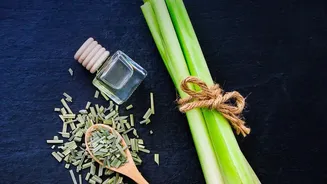 Botanical Tea Crafting Reimagines Afternoon Refreshment With Pure Lemongrass And Cold-Brewed Leaves