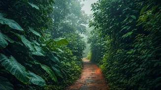 Green Goa Feels Softer, Slower And Romantic