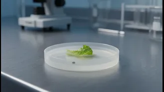 Food-Safety Authorities Need Traceable Details, Not Just A Viral Image