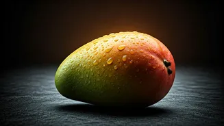 Mancurad Mangoes: Goa's Prized Fruit Commands Premium Prices Despite Market Drop