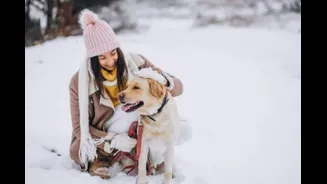 Cold Weather, New Places: Preparing Your Dog For Winter Vacations