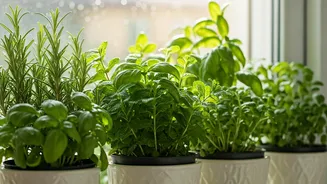 Homegrown Herbs Are Making Urban Kitchens Feel Fancy