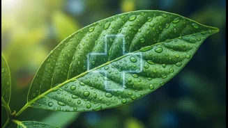 Rain Alerts Need A Health Angle Too