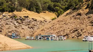 From Water Reservoirs to Food Markets: Tracking El Niño's Effects