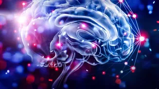 How Intelligent Daily Planners Prevent Burnout By Dynamically Re-Planning Missed Tasks