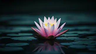 Unlocking True Happiness: Swami Vivekananda's Profound Secret to Success