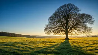 Unlock Inner Peace: Eckhart Tolle's Wisdom on Self-Realization Over Circumstance