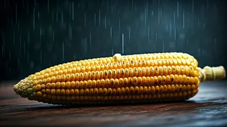Monsoon Feels Incomplete Without Bhutta