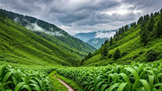 This Is Why Everyone Loves North India In Monsoon