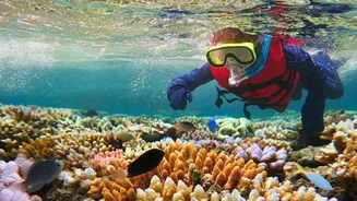 Where to go for snorkeling in Australia