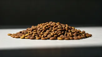 Clean Kibble Alternatives Are Growing In India