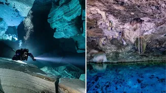 World Ocean Day 2026: Explore these incredible underwater attractions for compelling summer getaway