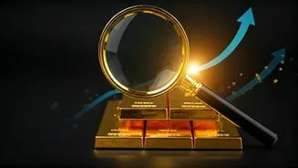 LIC's Strategic Moves: SBI Gains, HDFC & Others Lose