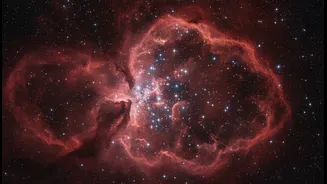 New Hubble Image Makes Star Formation Easier To Understand