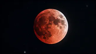 Related Stories banner