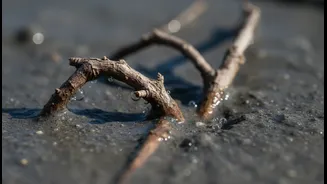 Dry Twigs Can Create Air Pockets Inside a Wet Mix