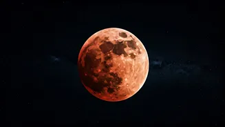 Related Stories banner