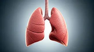 Persistent Cough: More Than Just TB, It Could Signal Lung Cancer
