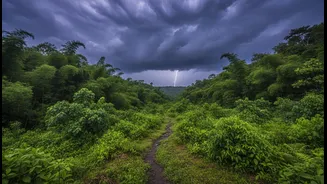 All-India Monsoon Advance Makes July Trip Planning More Weather-First Than Ever