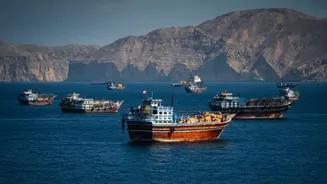 India condemns Hormuz vessel attacks after two seafarers go missing