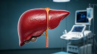 5 Exercises to Reverse Fatty Liver: A Health Guide