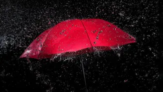 IMD's District-Level Monsoon Warnings Puts Station And Highway Conditions During Rain Alerts On The Checklist