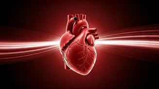 Why Women Wear Red: Fighting Heart Disease, the Silent Killer