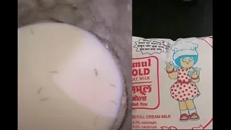 ‘Dudh Par Se Bharosa Uth Gaya’: Woman Claims Worms Found Inside Amul Milk Packet, Company Responds