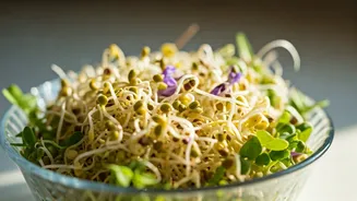 Sprout Salad: Your Ultimate Light & Cooling Dinner for Hot Summer Days