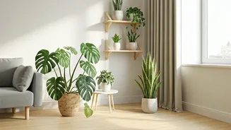 Indoor Plants Are The New Renter-Friendly Decor Move