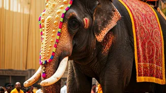 Related Stories banner