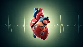 Dr. Evan Levine's 5 Simple Rules for a Longer, Healthier Life