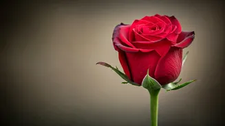 Neena Gupta on Strong Women and Relationships