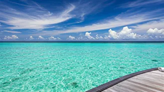 Dream Maldives Travel Vlogs Overflow With Crystal Clear Imagery