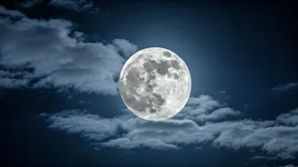 How to track skies for better stargazing