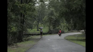 Word of the day: monsoon onset — why first rain dates matter more than most people think