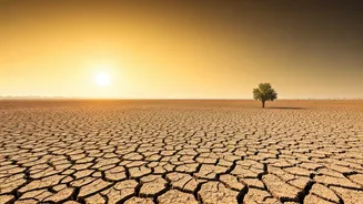 The July Weather Trend Worth Watching Closely