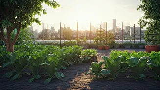 India's Cities Are Blooming