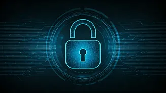 Understanding Your Privacy: A Simple Guide