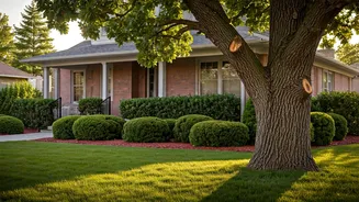 Monsoon Prevention Starts With Smart Plant Trims
