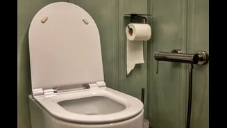 Mais sujos que a privada? Veja objetos comuns que acumulam bactérias