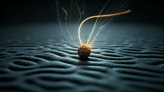 Unlock Your Brain's Potential: The Cognitive Power of Black Pepper