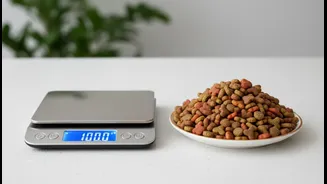 Indian Pet Parents Need Portion Literacy Now