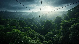 These Rainy Zipline Experiences Are Unforgettable