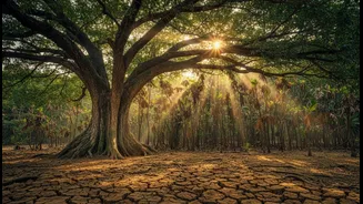 Shared Vulnerability With Complex Local Differences Makes Drought Risk Across Tall And Small Tropical Trees Worth A Closer Look