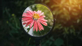 Alia Bhatt: Reframing Mistakes for Growth