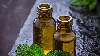 Turn leftover mint and coriander stems into zero waste cooking oil infusions