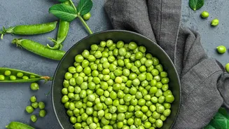 Grass Pea May Offer A Resilient Food Option Where Water Is Scarce