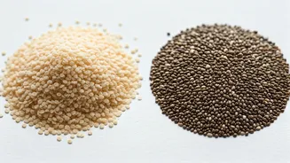 Isabgol vs Chia Seeds: Fiber Face-Off for Gut Health in India