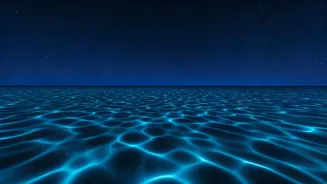 Bioluminescence Makes Andaman Nights Completely Unforgettable
